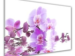 Tablou canvas cu orhidee